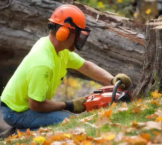 tree services Montebello